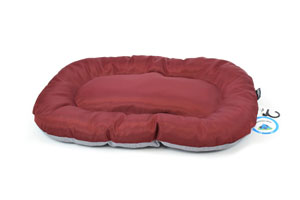 10058136