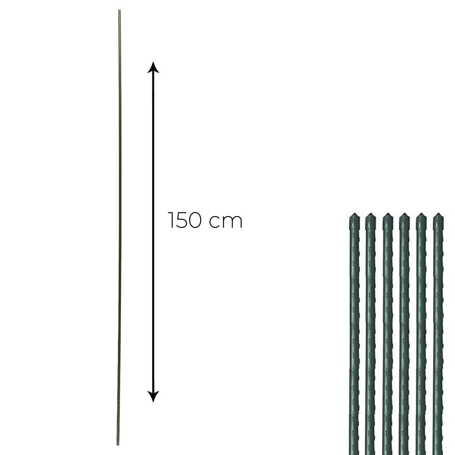 10060653