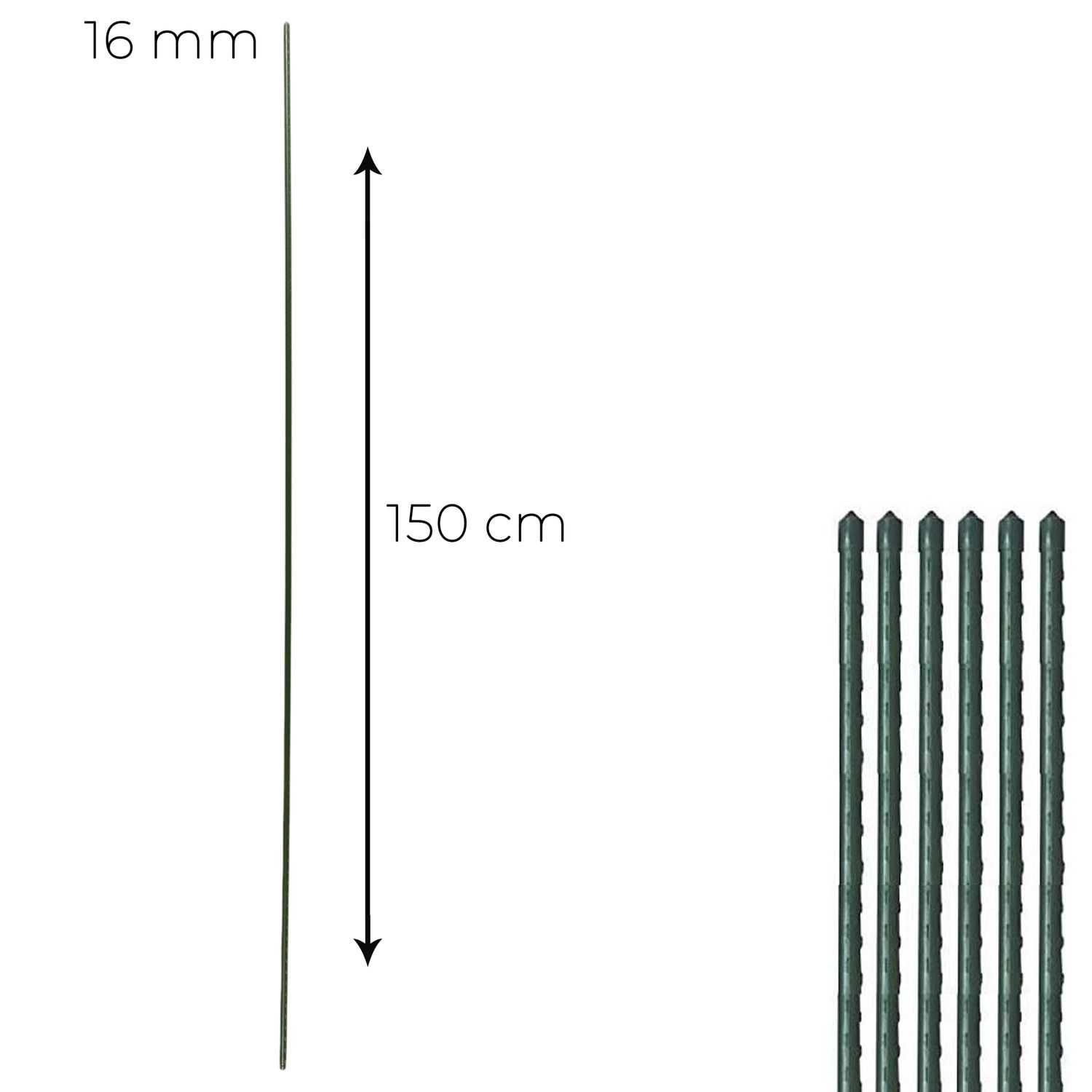 10060654