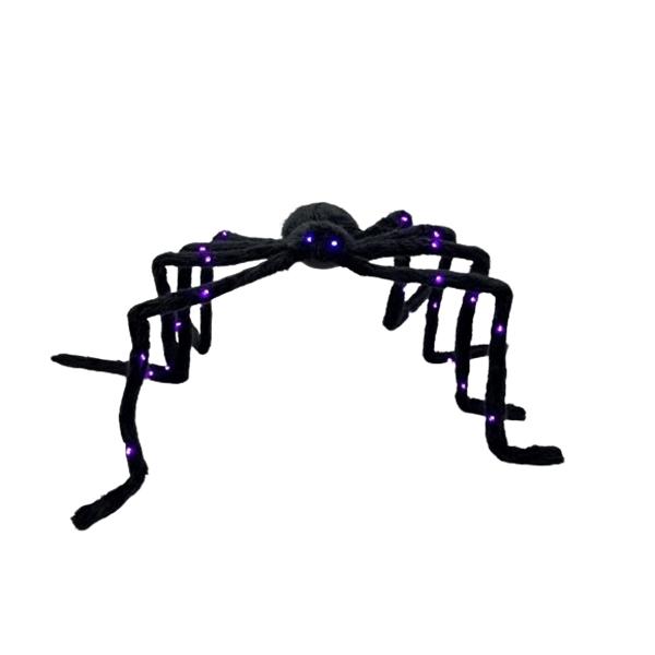 10062976