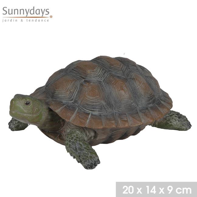 10067300