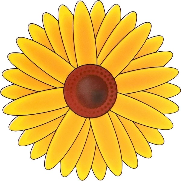 10067881